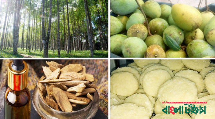 জিআই অনুমোদন পেল মন্ডা, হাঁড়িভাঙ্গা আমসহ ৪ পণ্য